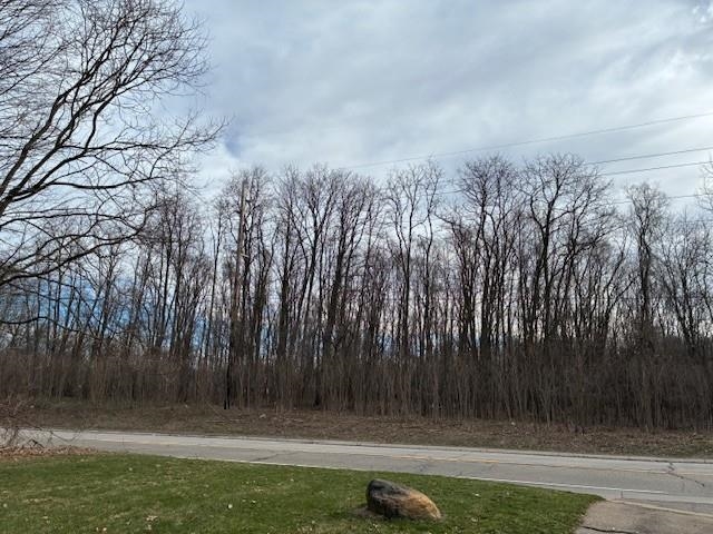 0 Marshall Road South Lyon, MI 48178 - Photo 3 of 17 50204625-1b08830c-b2a9-44b9-a5e7-a346afaee69f.JPG