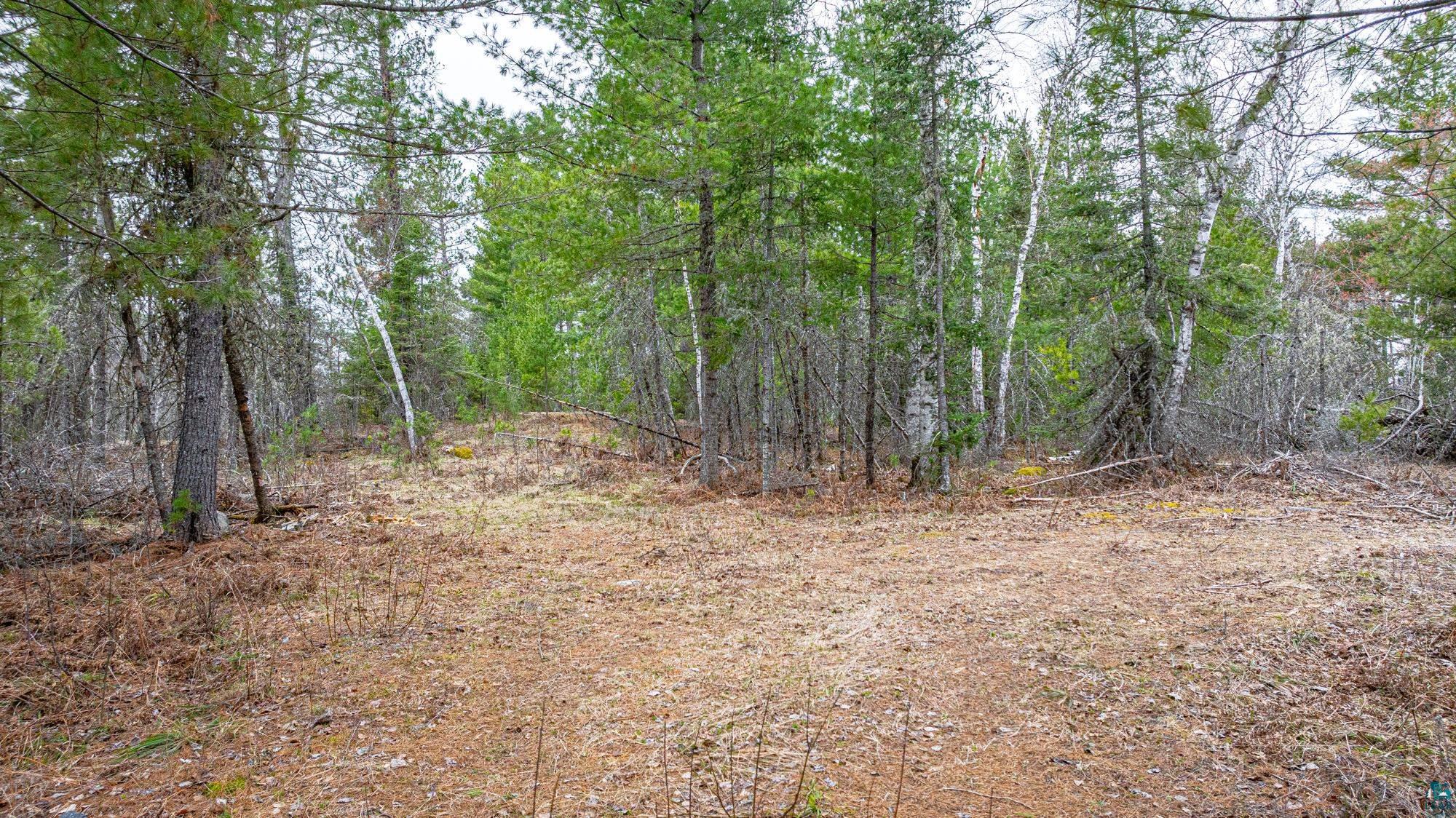 Tbd Lindbeck Road Ely, MN 55731 - Photo 13 of 44