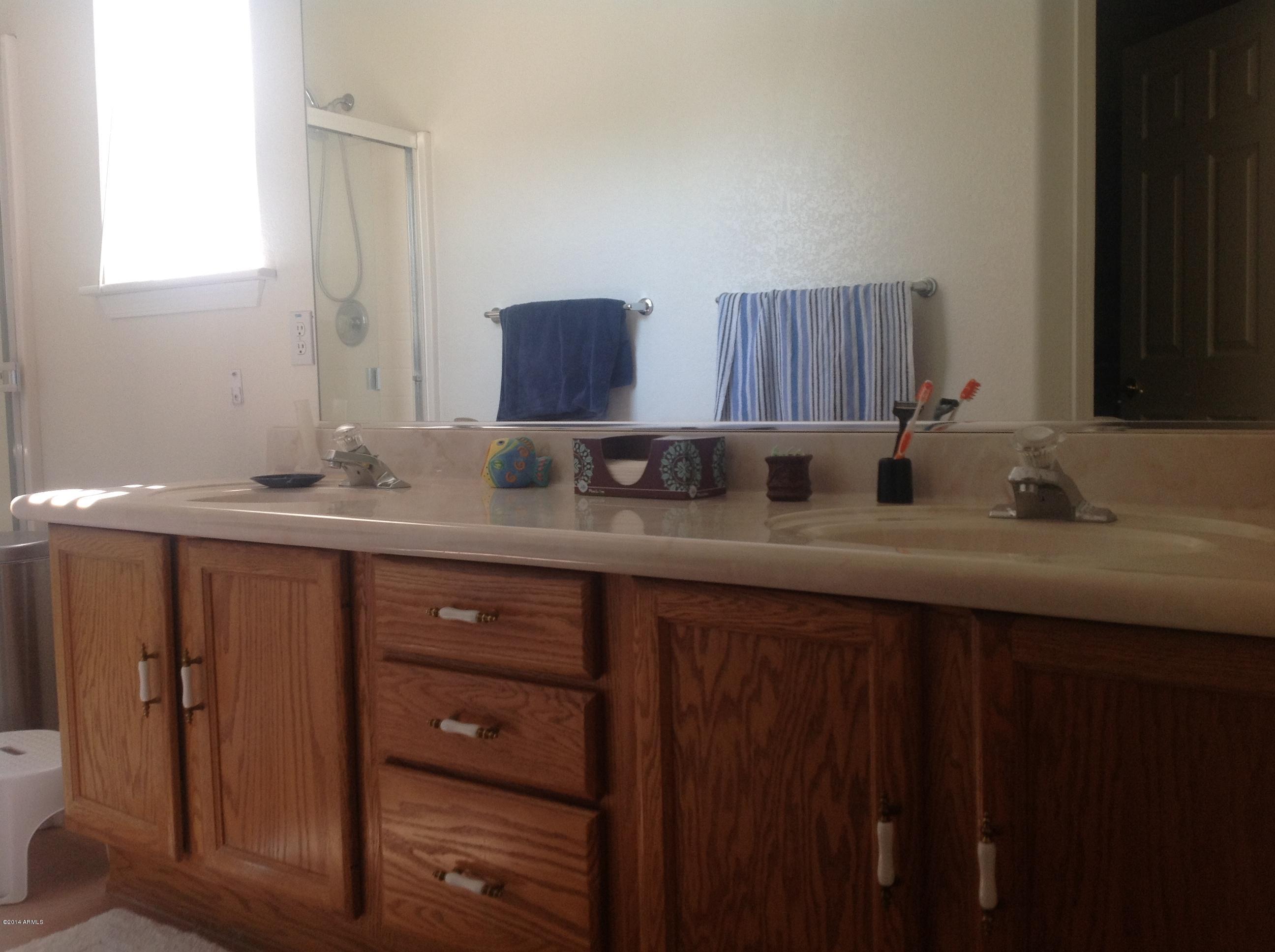 1355 North Acacia Road Apache Junction, AZ 85119 - Photo 26 of 45 a bathroom with a sink and a mirror
