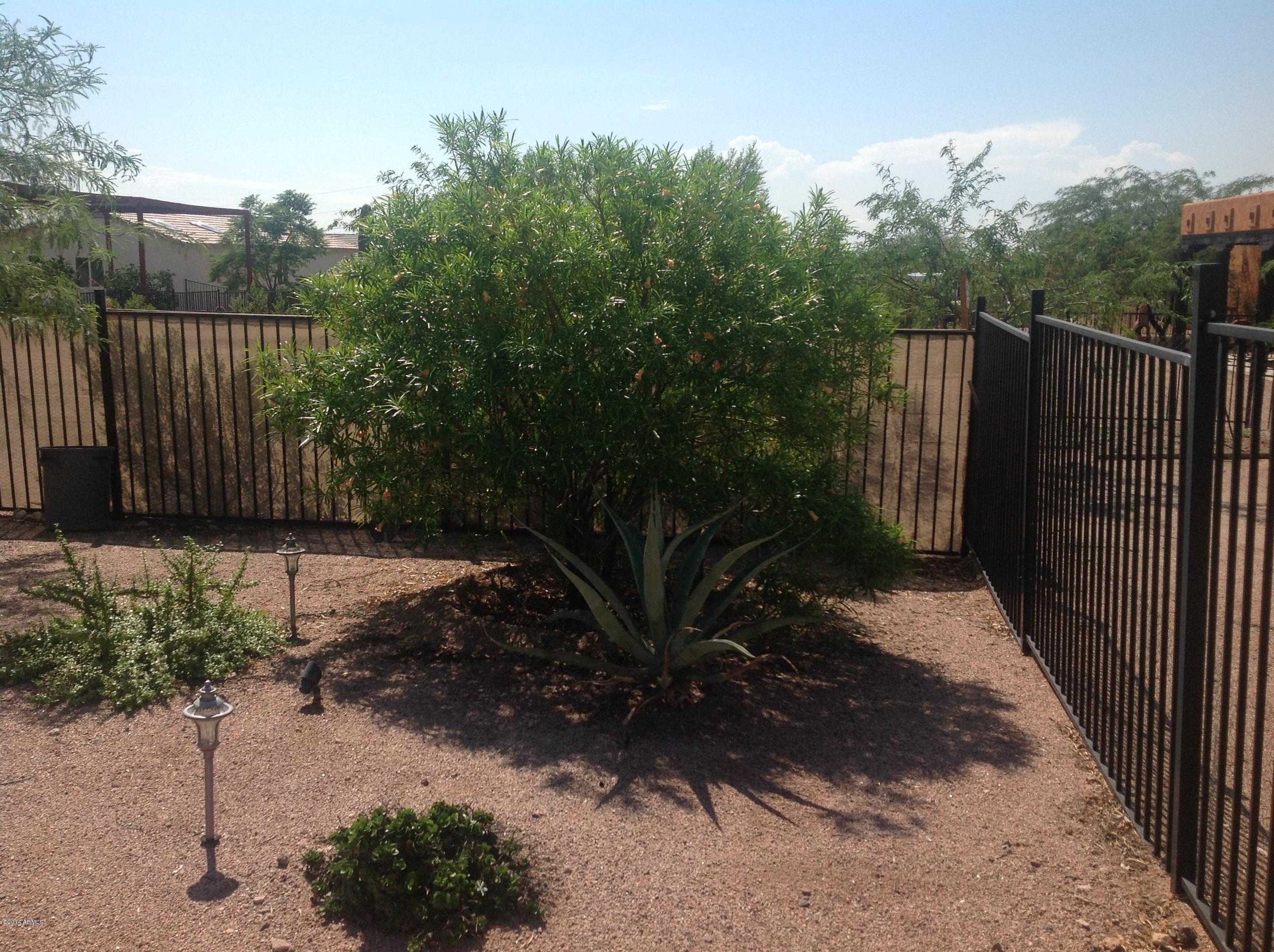 1355 North Acacia Road Apache Junction, AZ 85119 - Photo 40 of 45 Backyard 3