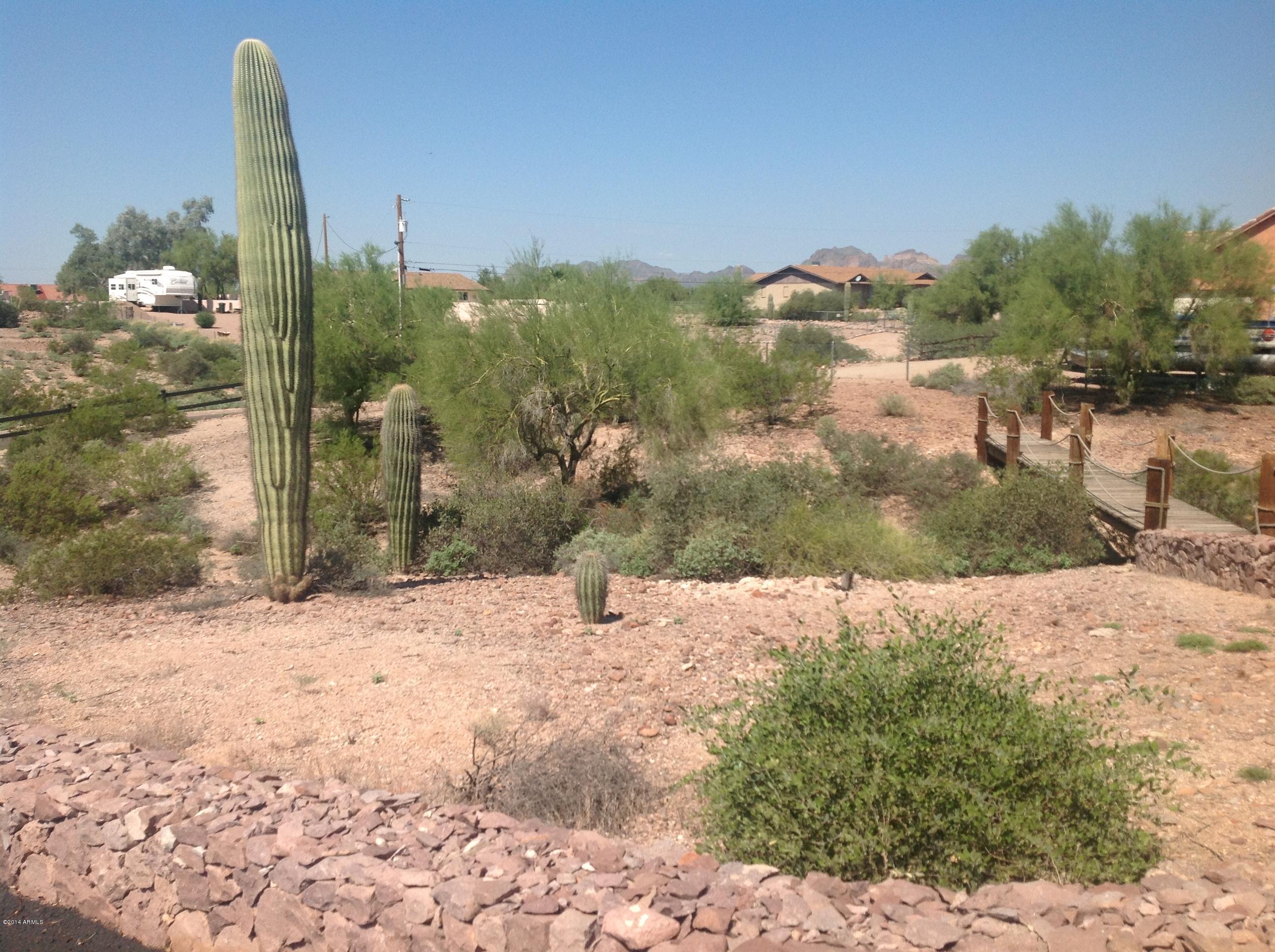 1355 North Acacia Road Apache Junction, AZ 85119 - Photo 7 of 45 a view of a backyard of a house