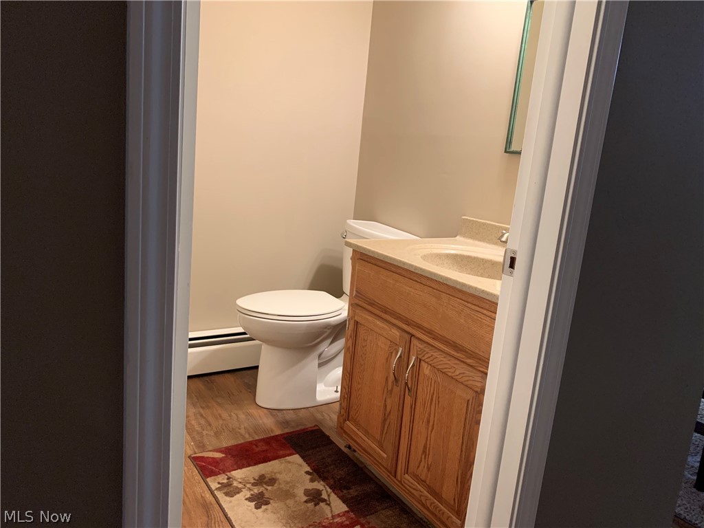10824 Butternut Road Chesterland, OH 44026 - Photo 15 of 24
