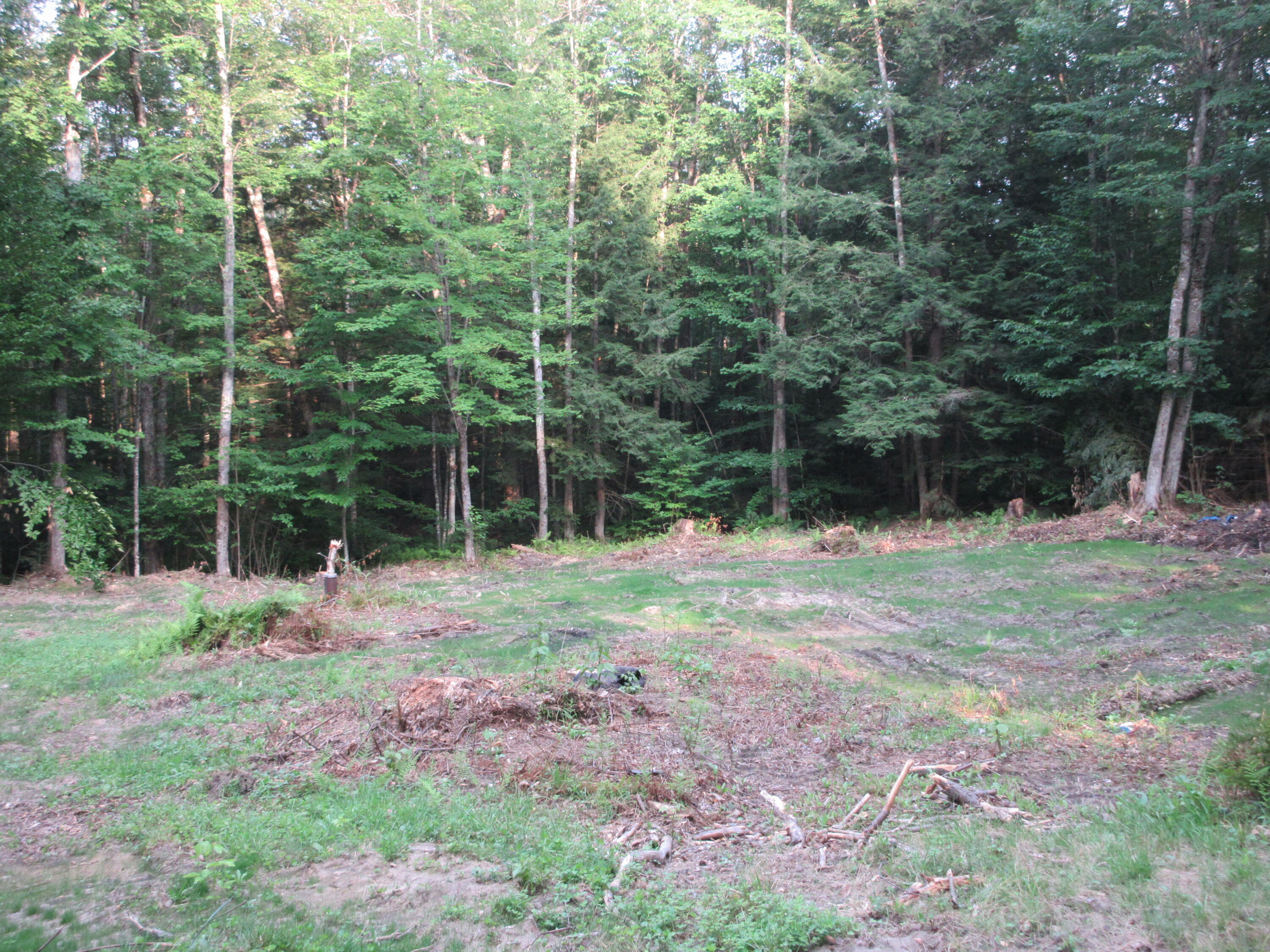 177 Blake Road Standish, ME 04084 - Photo 10 of 47 IMG_0184