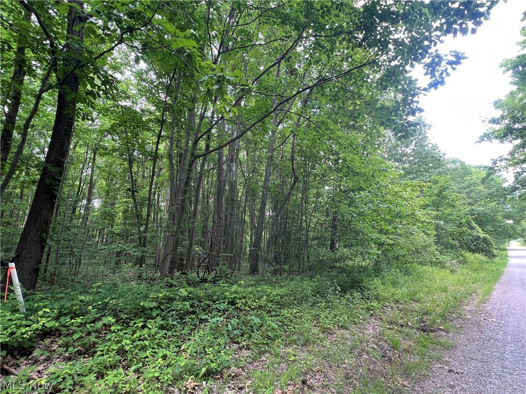 710 feet of road frontage. Keep it all or split it into 3 building lots!