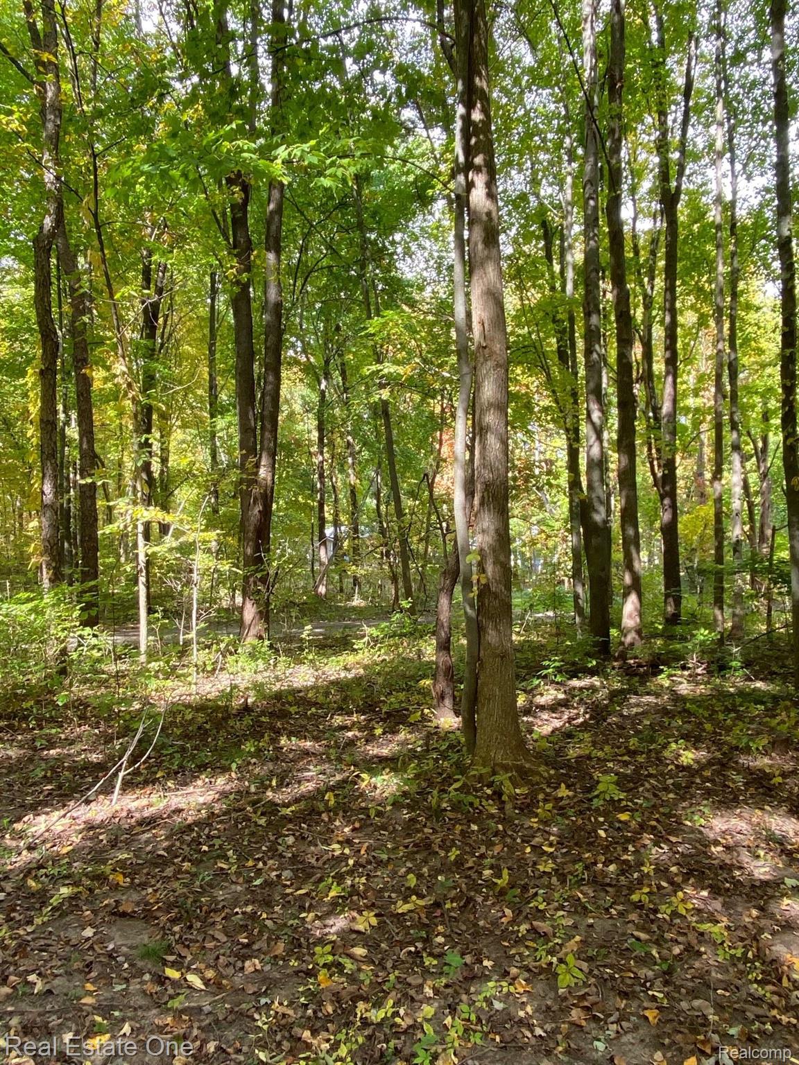 5568 Mason Road Fowlerville, MI 48836 - Photo 12 of 39 Gallery Image 12