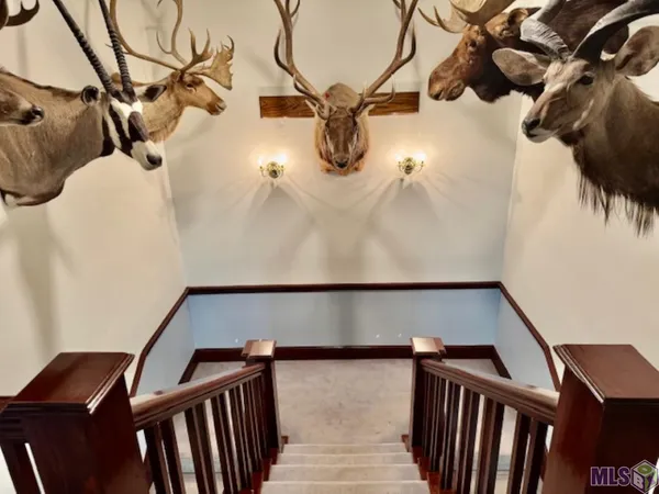 $4,100 | 11021 Perkins Road, Baton Rouge, LA 70810