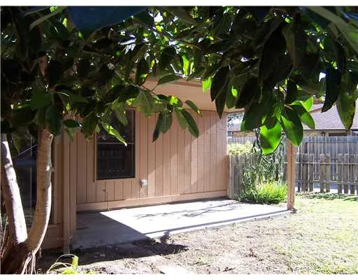 a small garden covered with tall trees