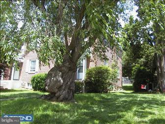705 Wildell Road Drexel Hill, PA 19026 - Photo 3 of 3 Gallery Image 3