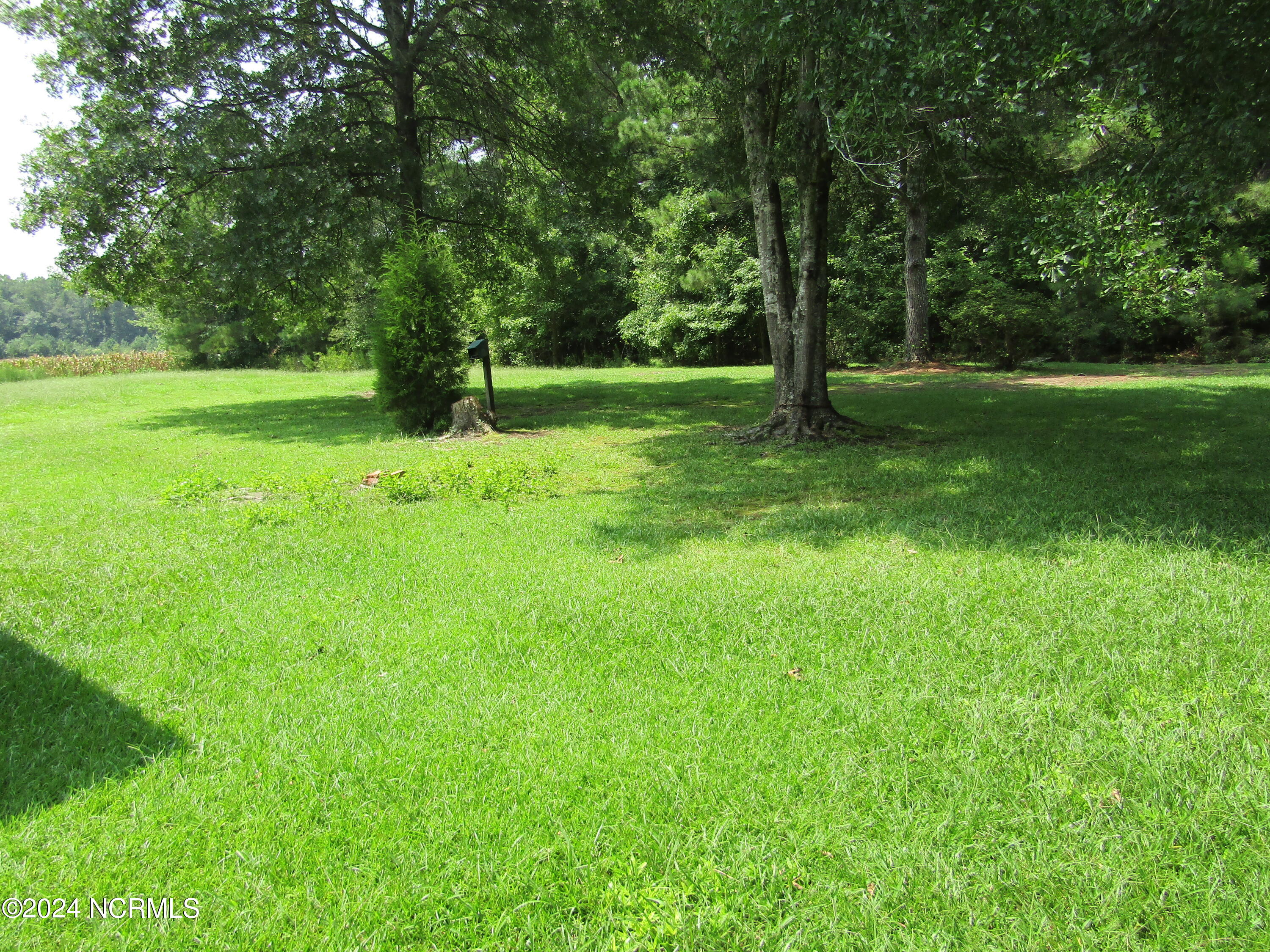 3833 Long Ridge Road Pinetown, NC 27865 - Photo 20 of 23 View from Back Steps
