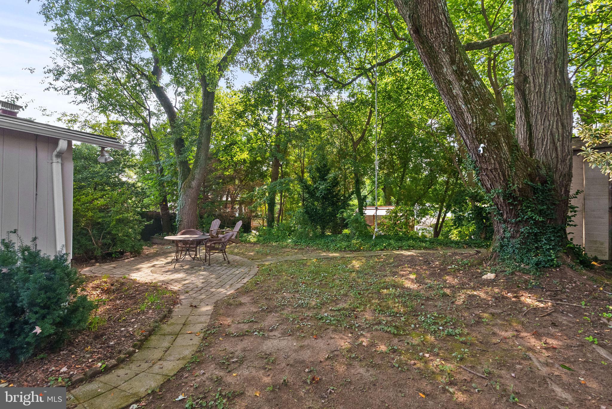2602 Harris Avenue Silver Spring, MD 20902 - Photo 25 of 25 a view of a tree in the middle of a forest