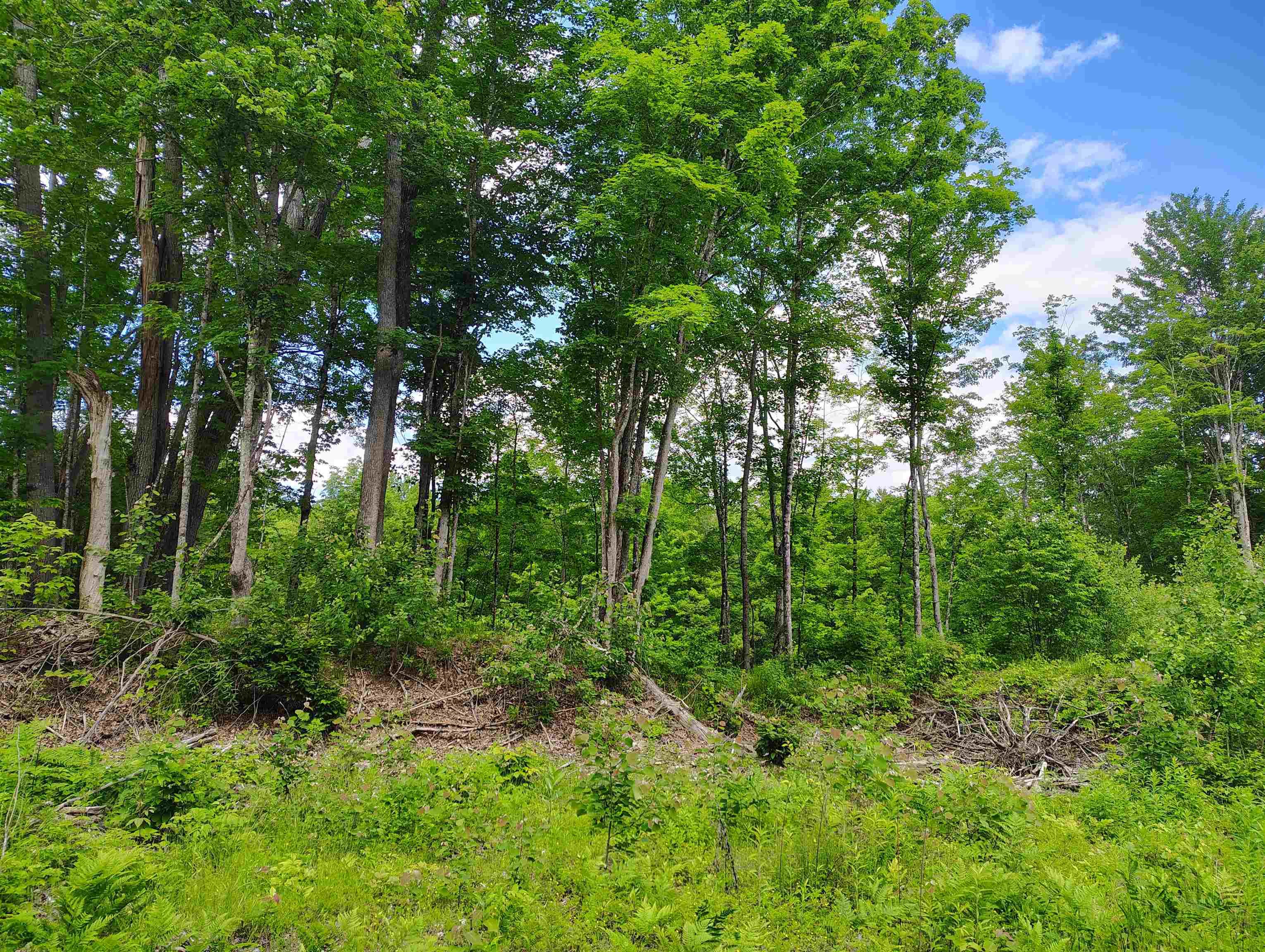 12 Frescoln Road Wentworth, NH 03282 - Photo 5 of 9