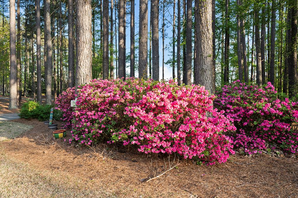 228 Compass Point Ninety Six, SC 29666 - Photo 3 of 38