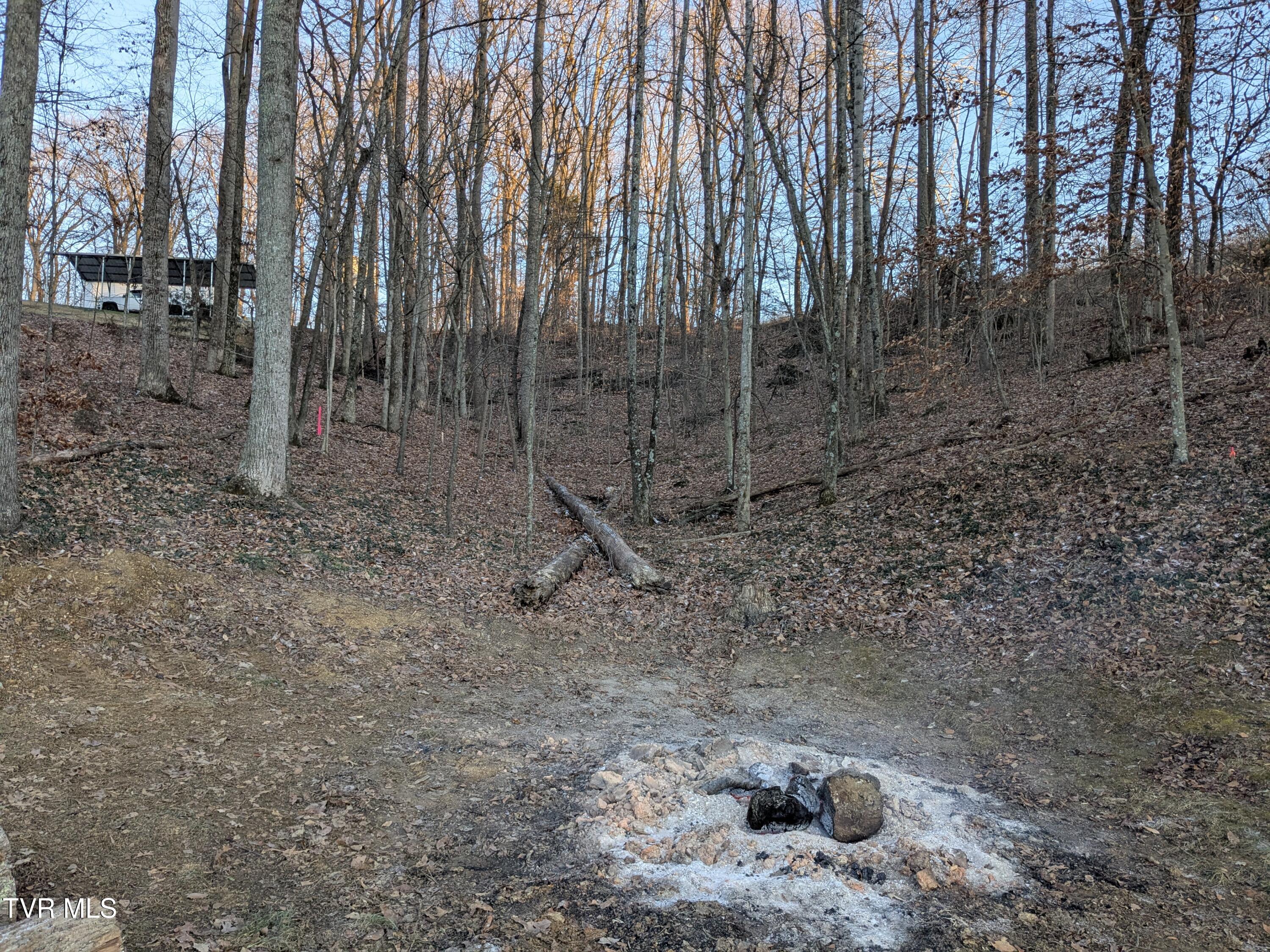 173 Pickens Road, Unit 3R Kingsport, TN 37663 - Photo 2 of 4 PXL_20251214_215334260.MP