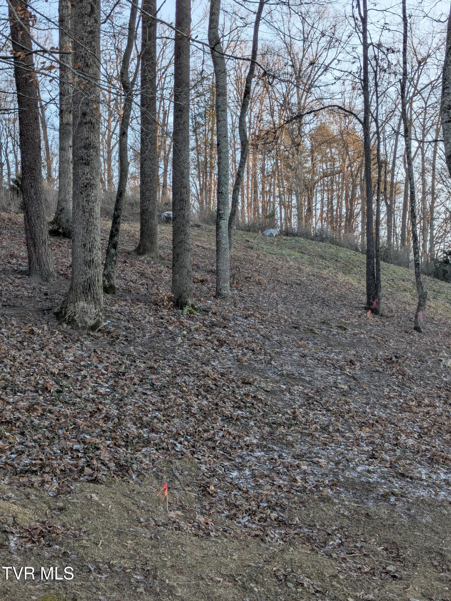 173 Pickens Road, Unit 3R Kingsport, TN 37663 - Photo 3 of 4 PXL_20251214_215340024