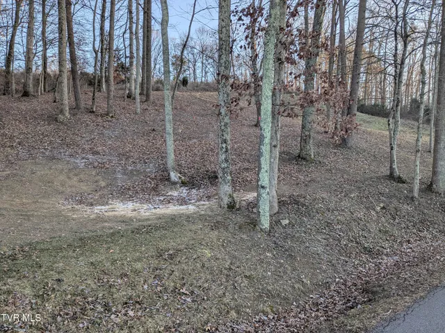 $35,000 | 173 Pickens Road, Unit 3R, Kingsport, TN 37663