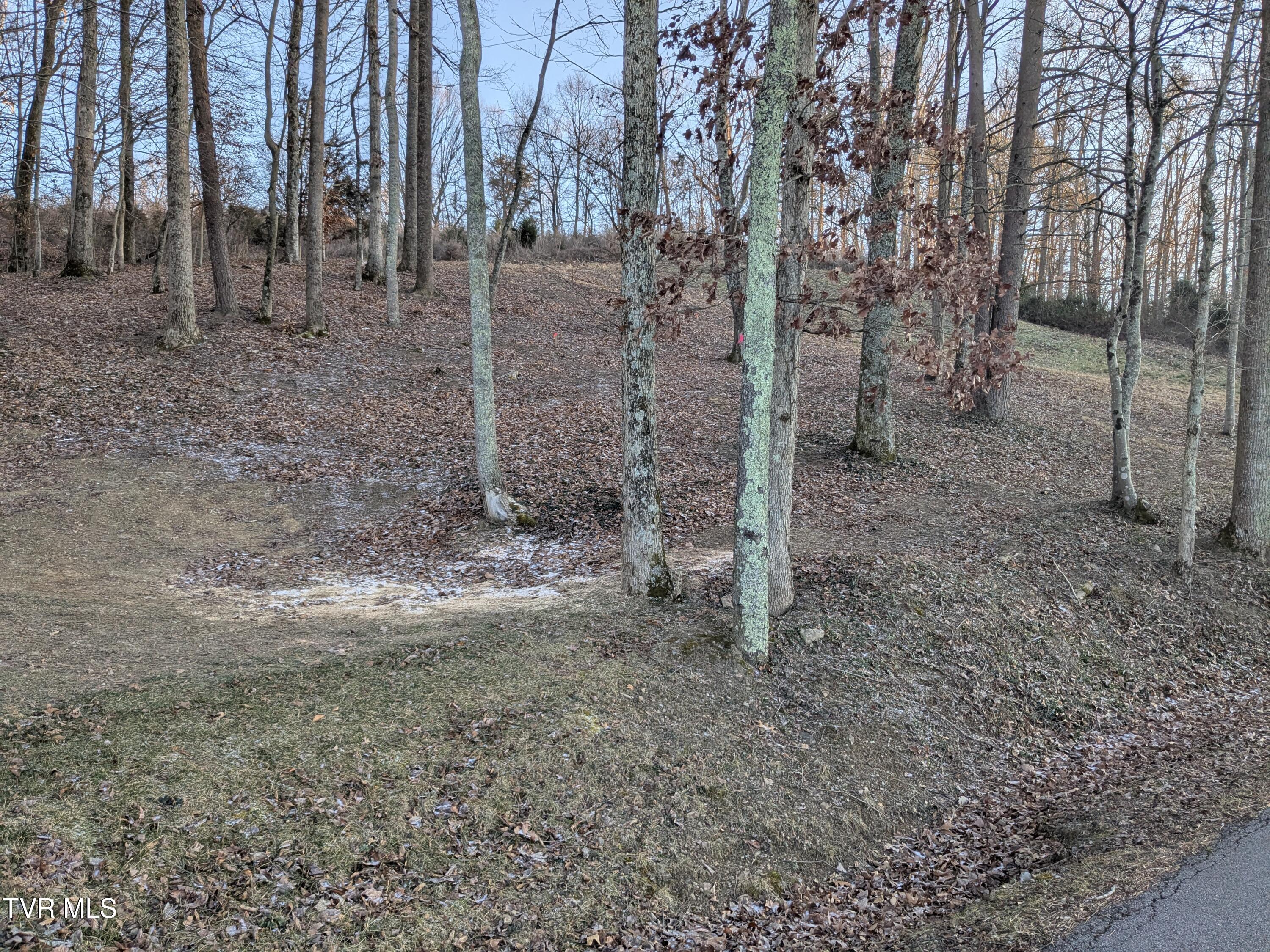 173 Pickens Road, Unit 3R Kingsport, TN 37663 - Photo 4 of 4 PXL_20251214_215248376