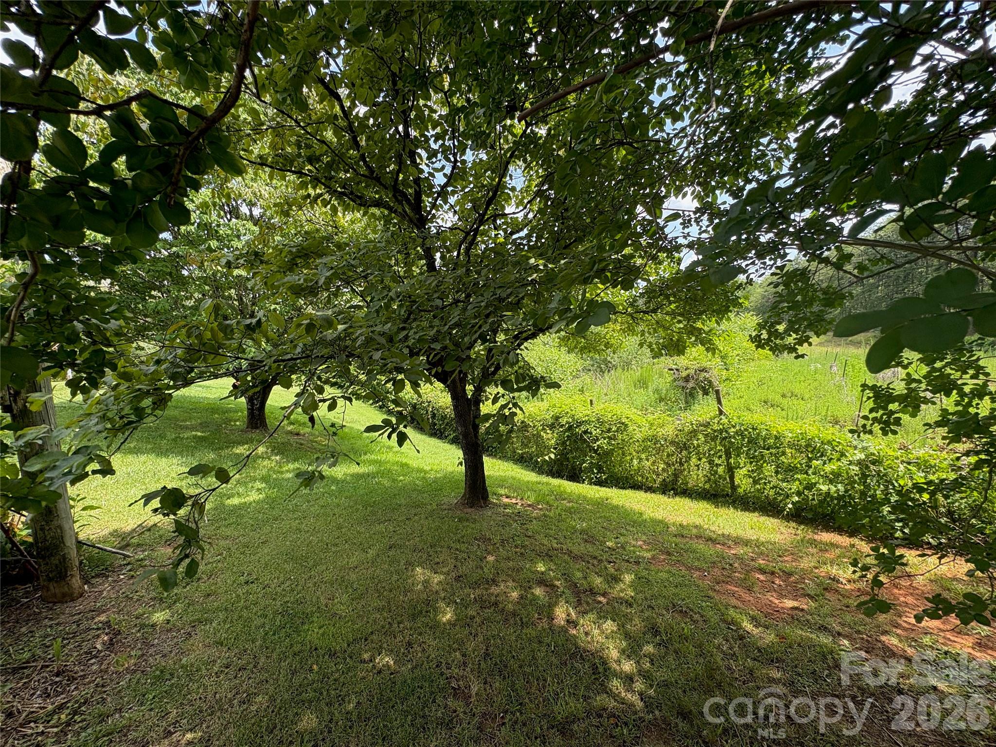 1812 Freemantown Road Lake Lure, NC 28746 - Photo 31 of 36