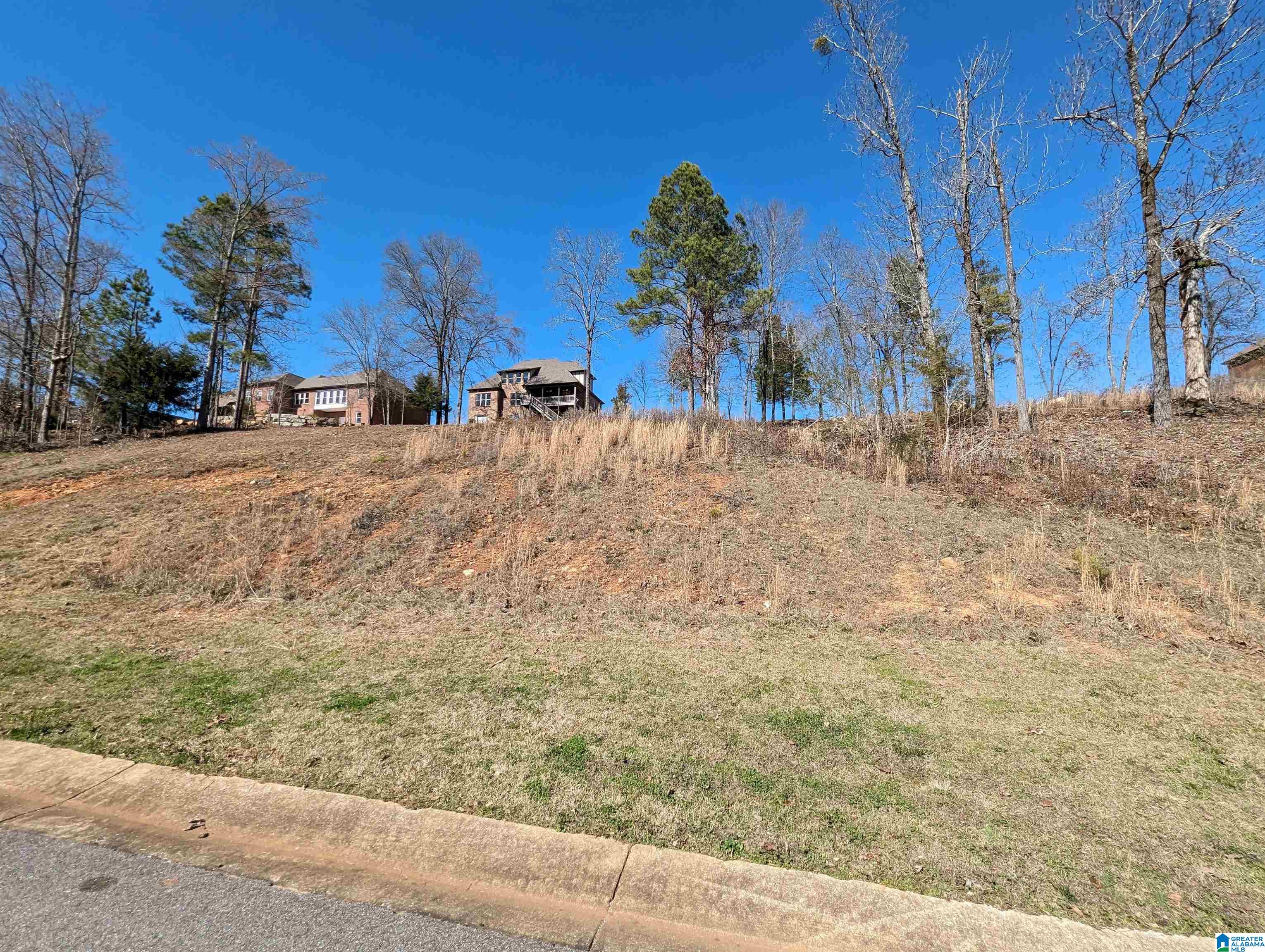 0 Overlook Ridge Lincoln, AL 35096 - Photo 22 of 33