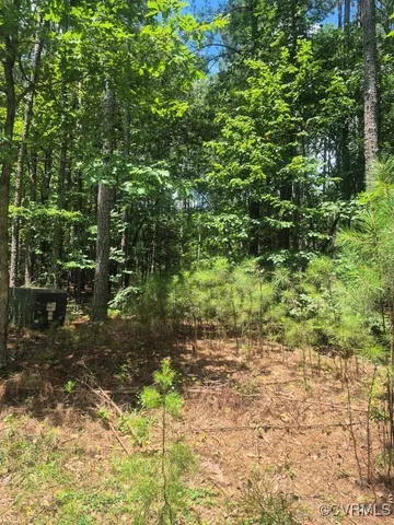 $44,900 | 0 Hixburg Road, Pamplin, VA 23958