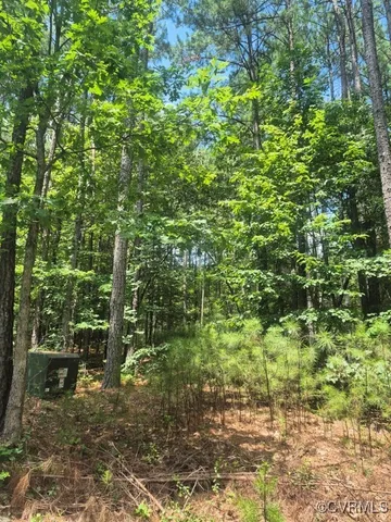 $44,900 | 0 Hixburg Road, Pamplin, VA 23958