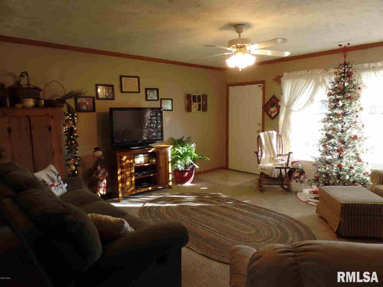 1494 Feazel Road Harrisburg, IL 62946 - Photo 11 of 25