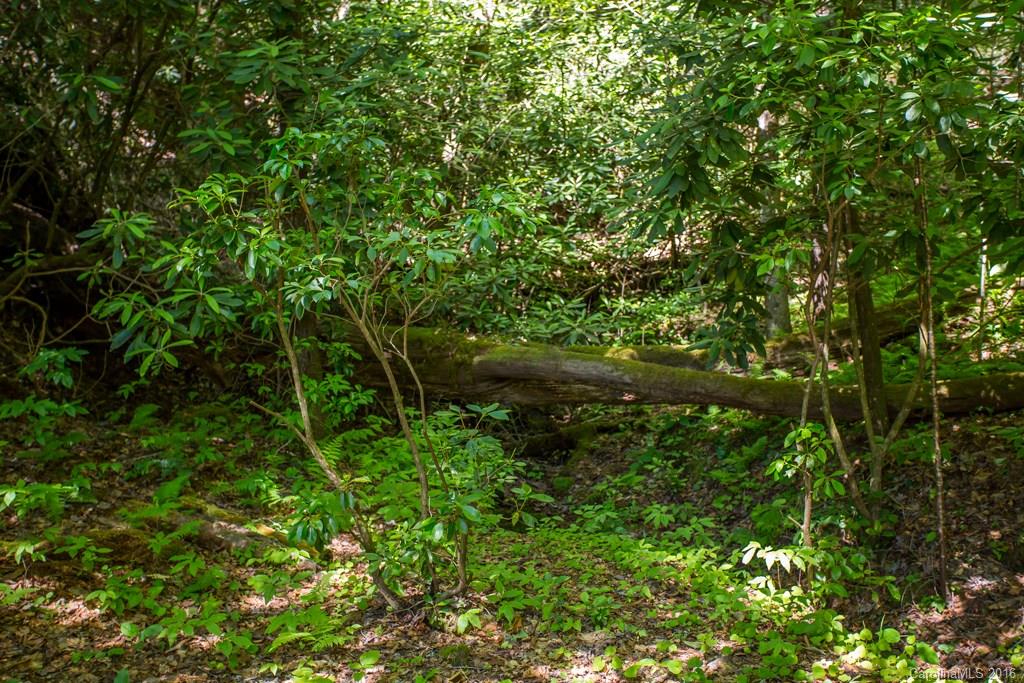 231 Old Powell Road Brevard, NC 28712 - Photo 15 of 21 Gallery Image 15