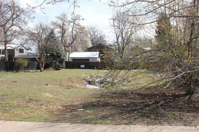 a view of a yard with large trees