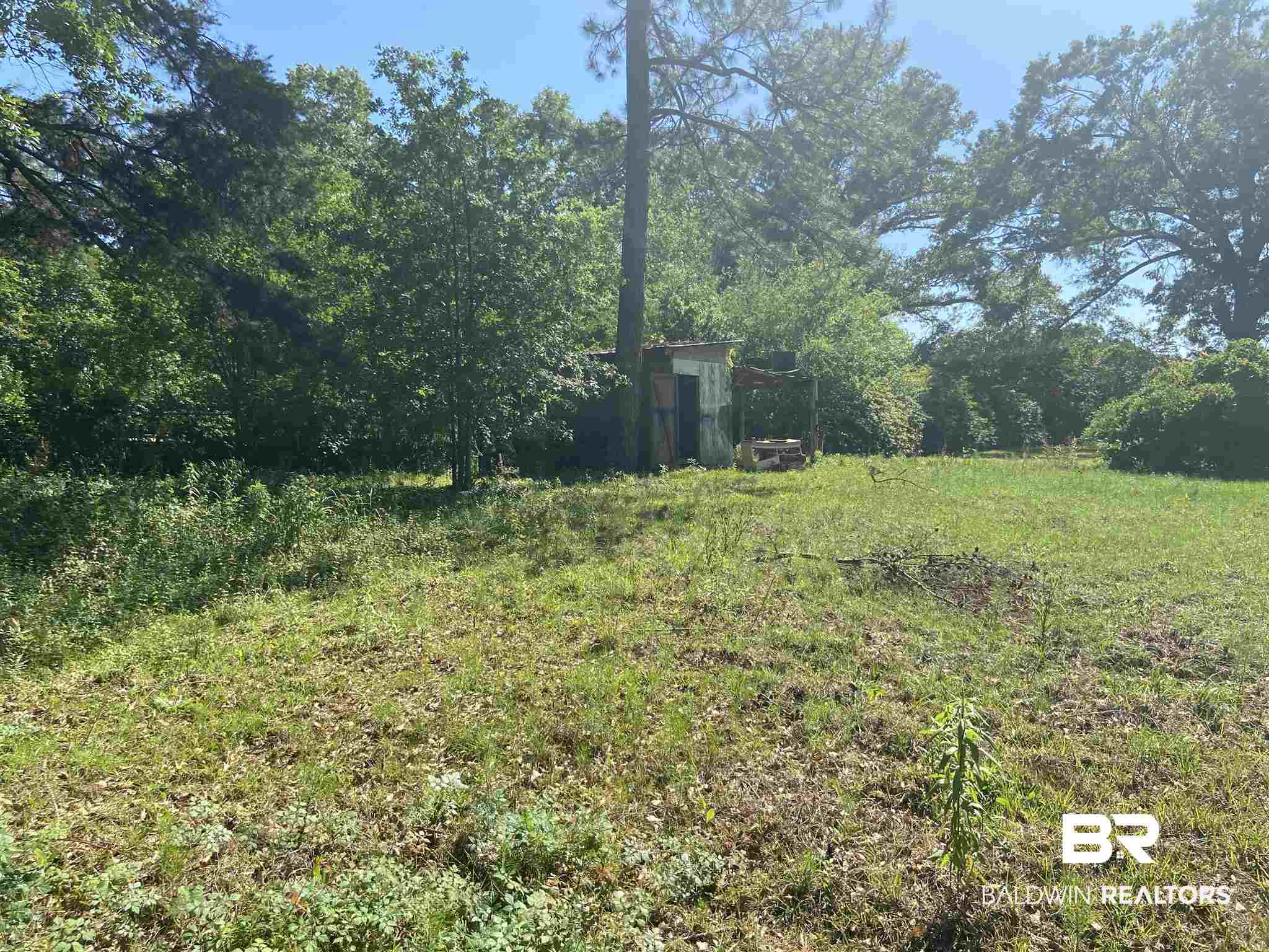 103 Ellis Street Brewton, AL 36426 - Photo 3 of 3