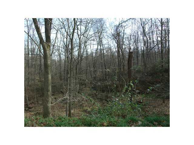 0 New Gambier Road Howard, OH 43028 - Photo 11 of 11