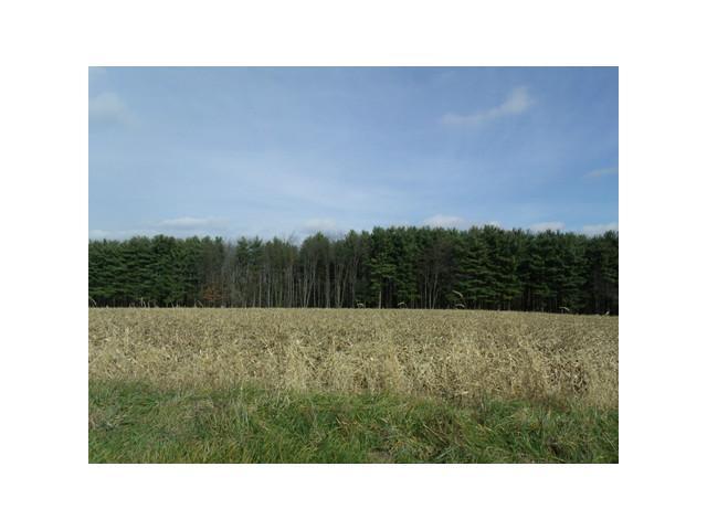 0 New Gambier Road Howard, OH 43028 - Photo 10 of 11