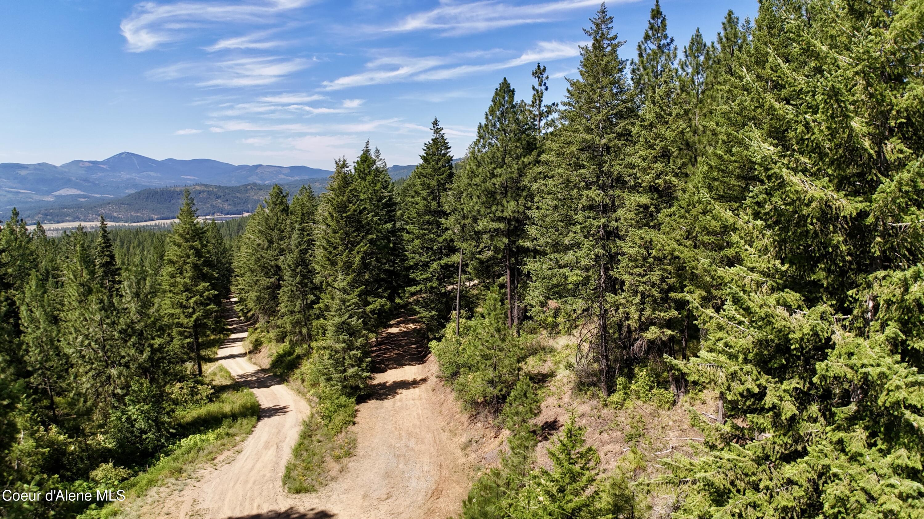 1710 Tower Mountain Road Blanchard, ID 83804 - Photo 5 of 44 5