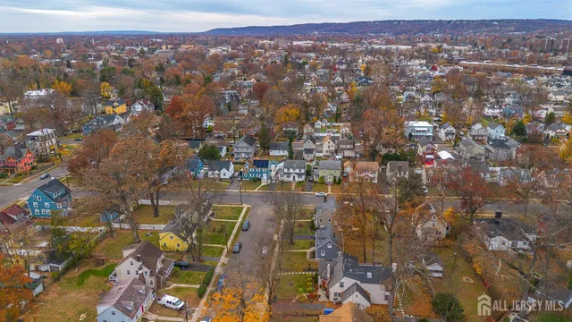 an aerial view of residential houses with outdoor space and trees