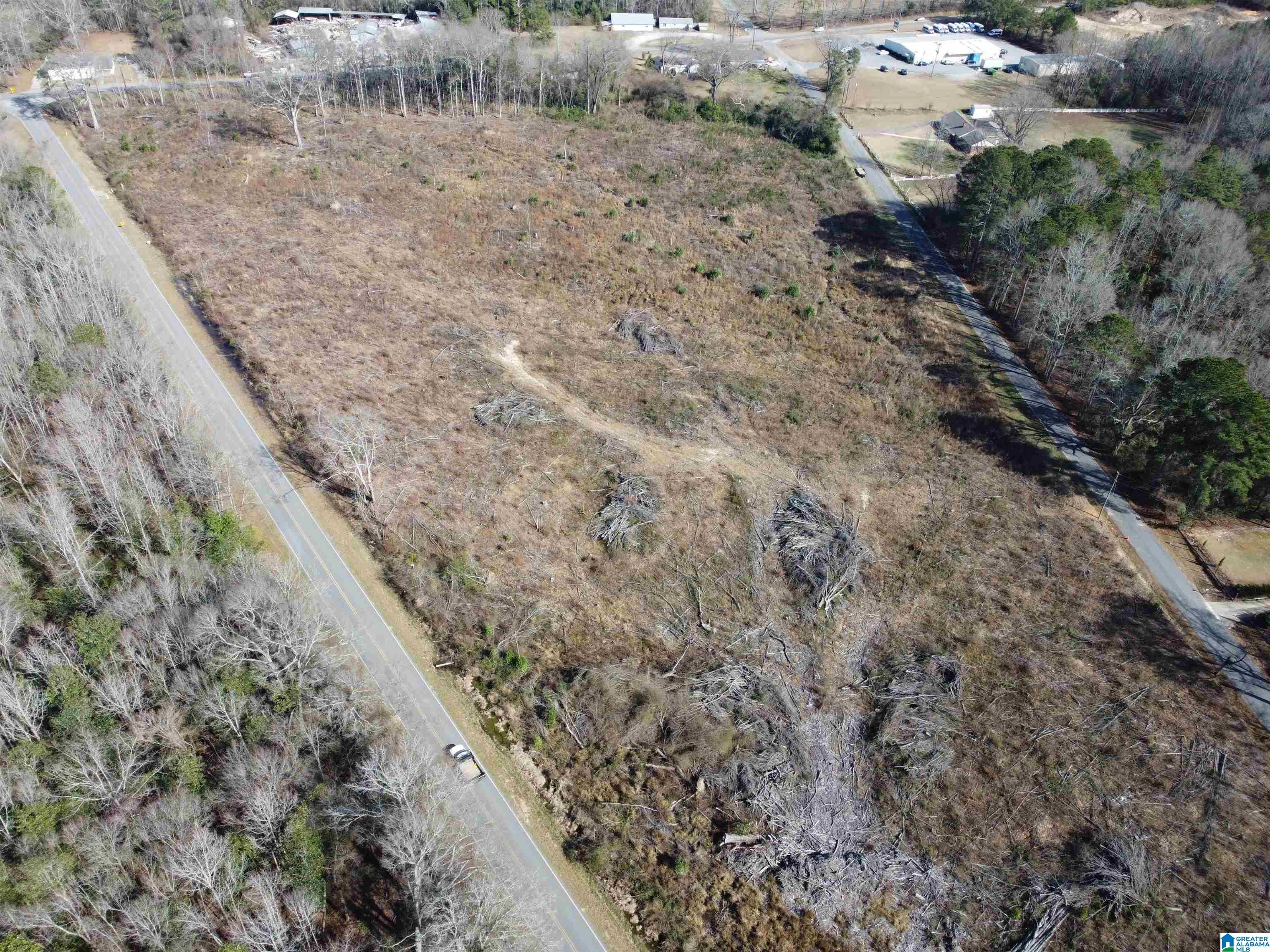 0 Kincheon Road Clanton, AL 35045 - Photo 9 of 45