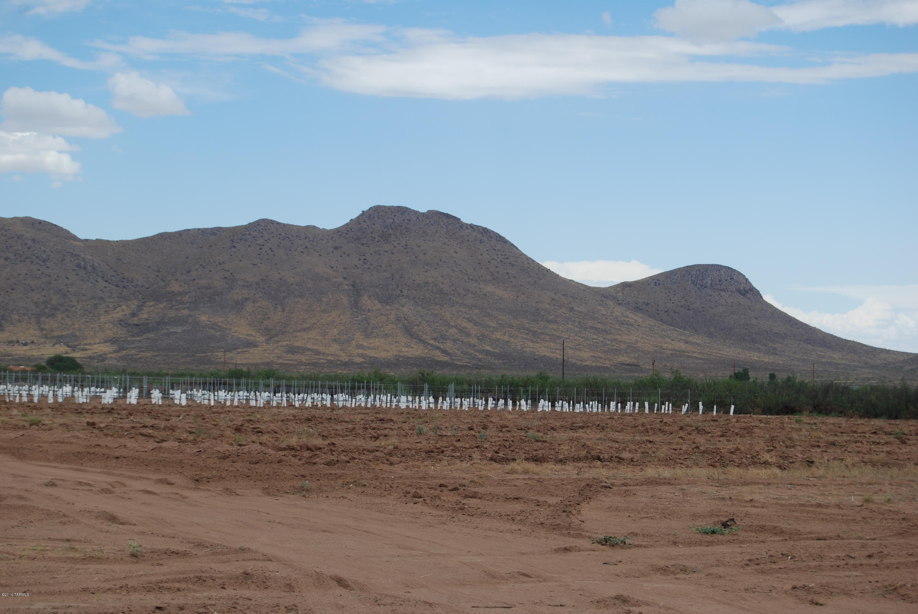East Fawn Ranch Road Pearce, AZ 85625 - Photo 4 of 9