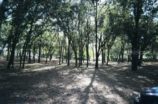 0 Bell Shoals Road Brandon, FL 33511 - Photo 1 of 1 View