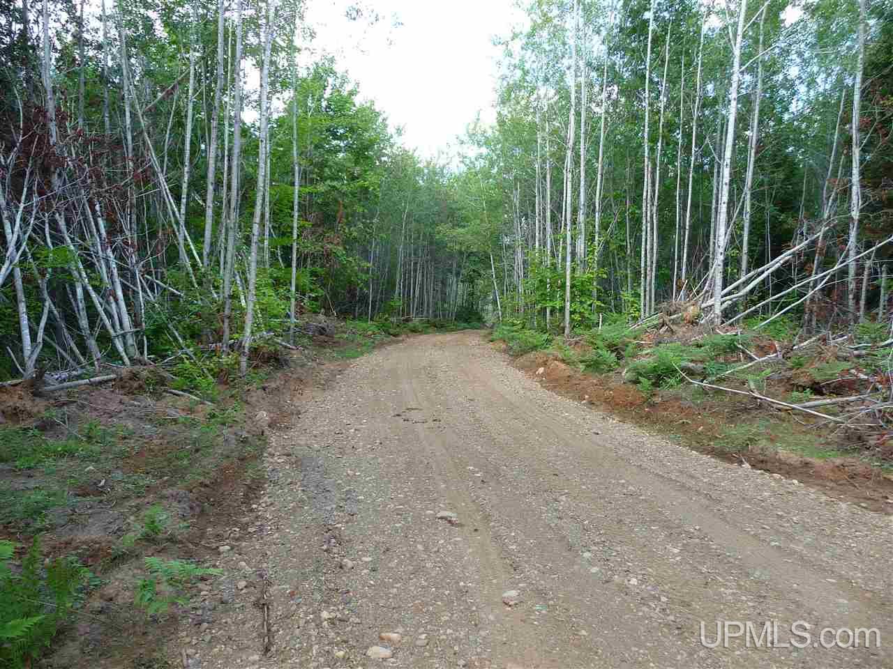 Tbd Tbd Road Republic, MI 49879 - Photo 1 of 21