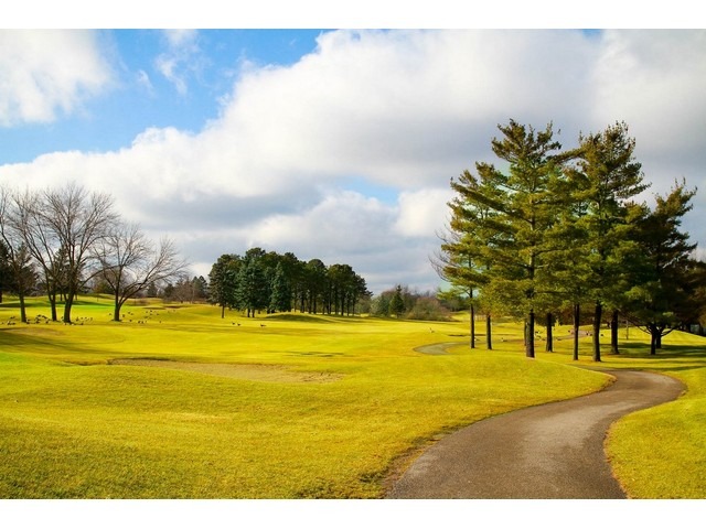 606 Raintree Road Buffalo Grove, IL 60089 - Photo 24 of 25