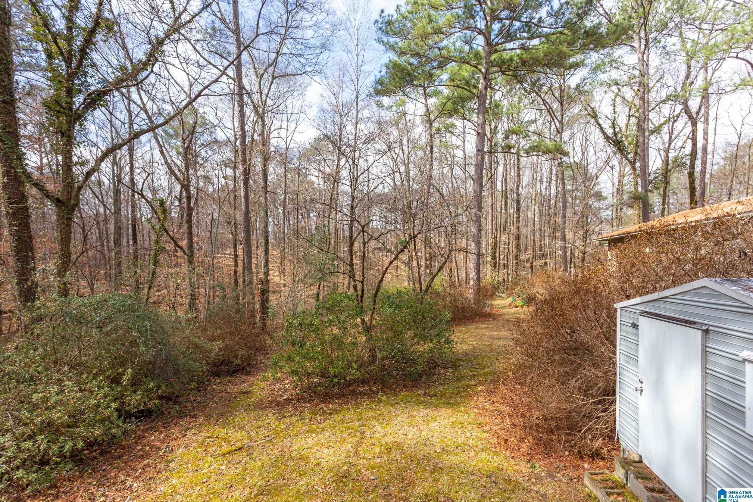 6500 Moss Rock Ridge Trussville, AL 35173 - Photo 34 of 37