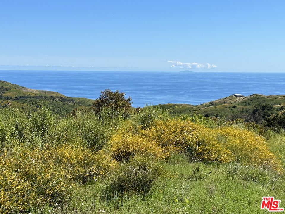 a view of an ocean