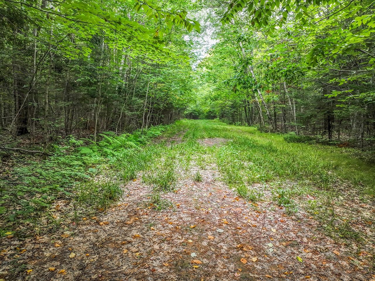 102 Rib Lake Rib Lake, WI 54470 - Photo 3 of 37 Gallery Image 3