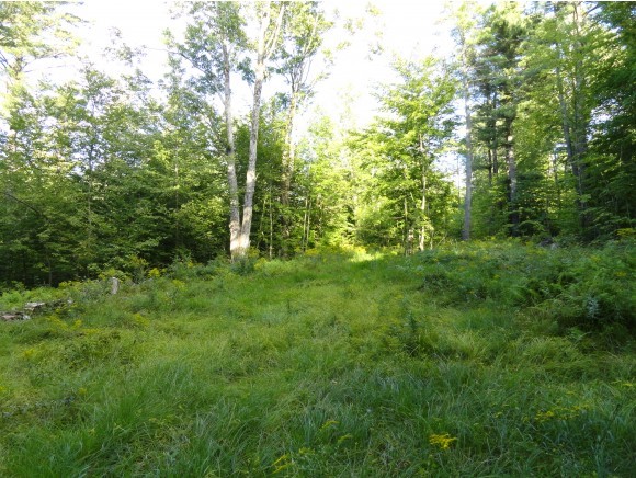 Lot 14.5 Fox Run Road Stoddard, NH 03464 - Photo 1 of 1