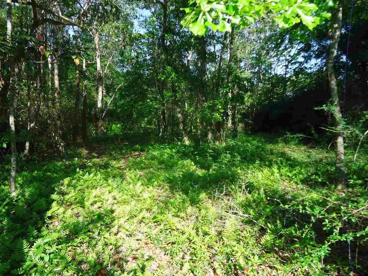 0 Hammock Road Elberta, AL 36530 - Photo 10 of 15