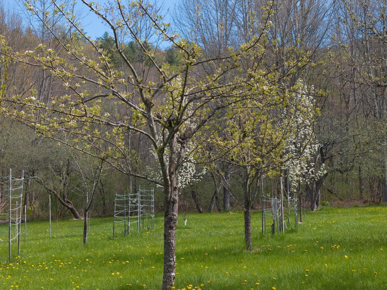 10 Hedgehog Hill Road Underhill, VT 05489 - Photo 28 of 60