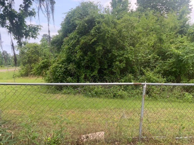 850 Slade Street Coldspring, TX 77331 - Photo 26 of 30 Property on the other side of fence