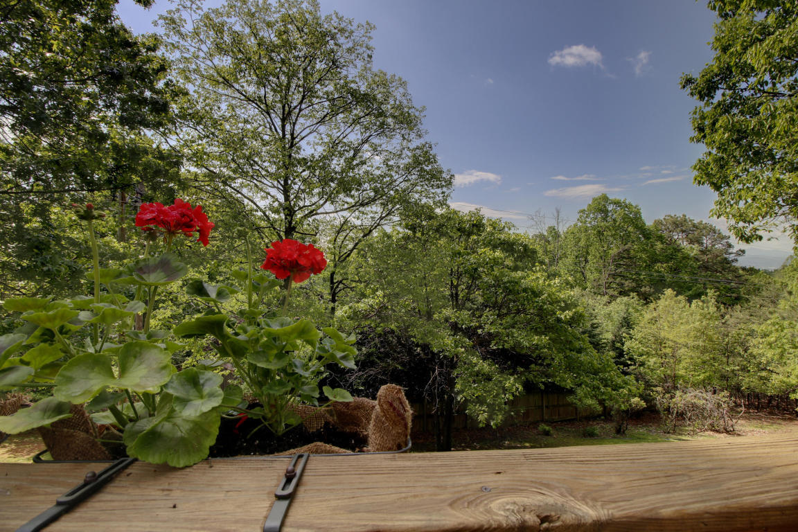 2636 Summit Ridge Road Northeast Roanoke, VA 24012 - Photo 27 of 30 20160808025709003365000000-o