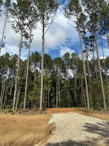 $93,950 | 11362 Annie Creek Drive, Willis, TX 77378