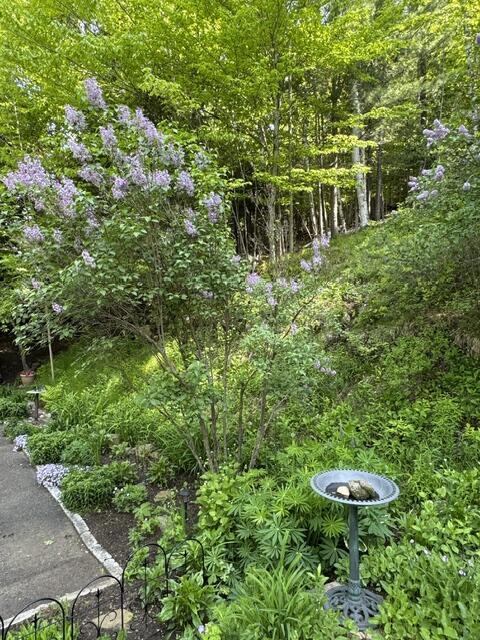 74 Old Lake Colby Road Saranac Lake, NY 12983 - Photo 26 of 41