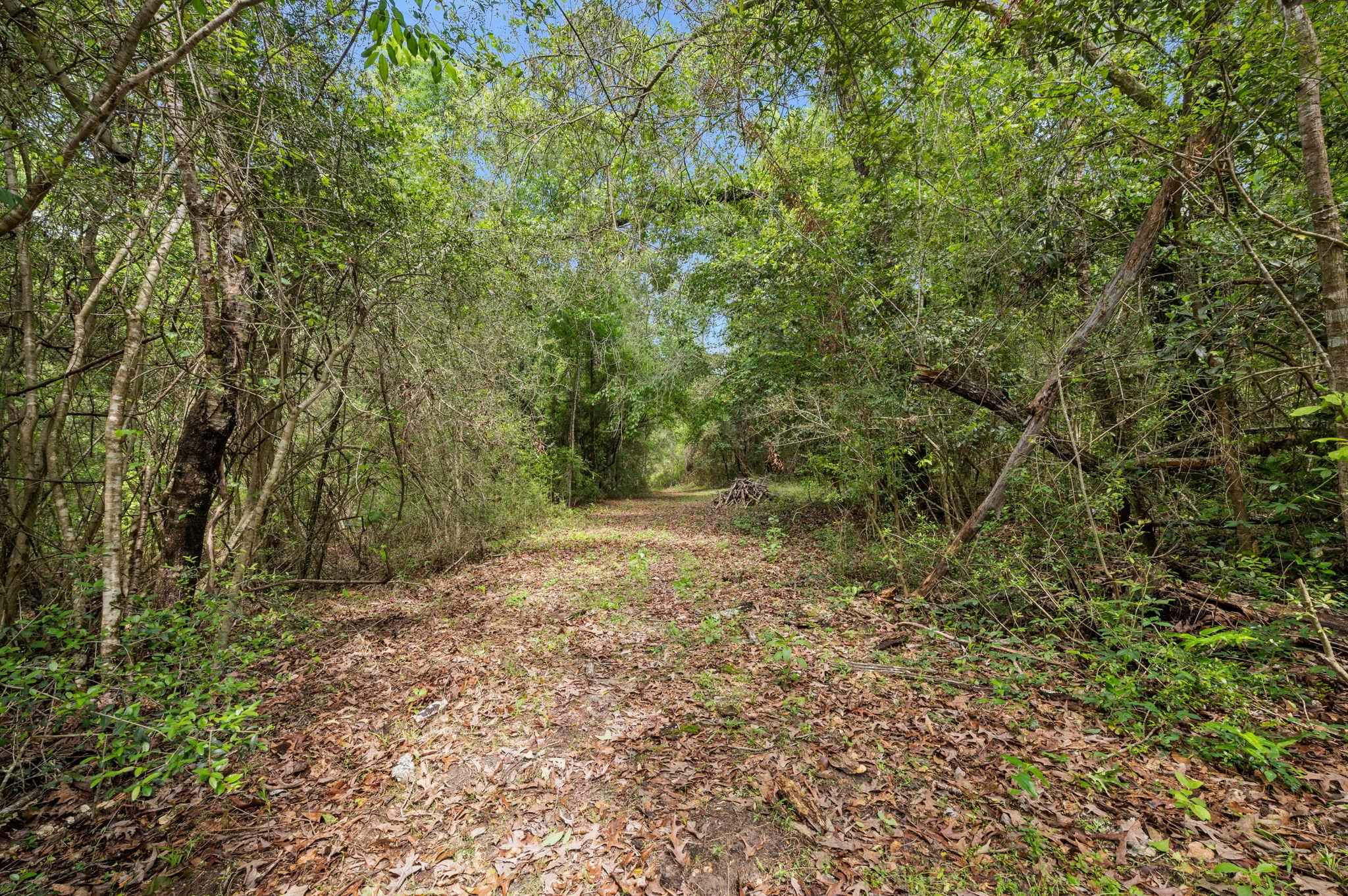 51597 Hollingsworth Road Bay Minette, AL 36507 - Photo 33 of 43