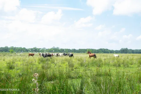 $575,355 | 0 West W Highway, Abbeville, LA 70510