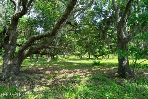 $575,355 | 0 West W Highway, Abbeville, LA 70510